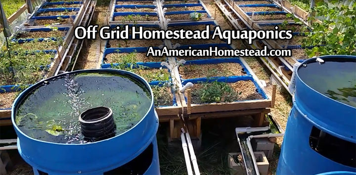 off grid homestead aquaponics