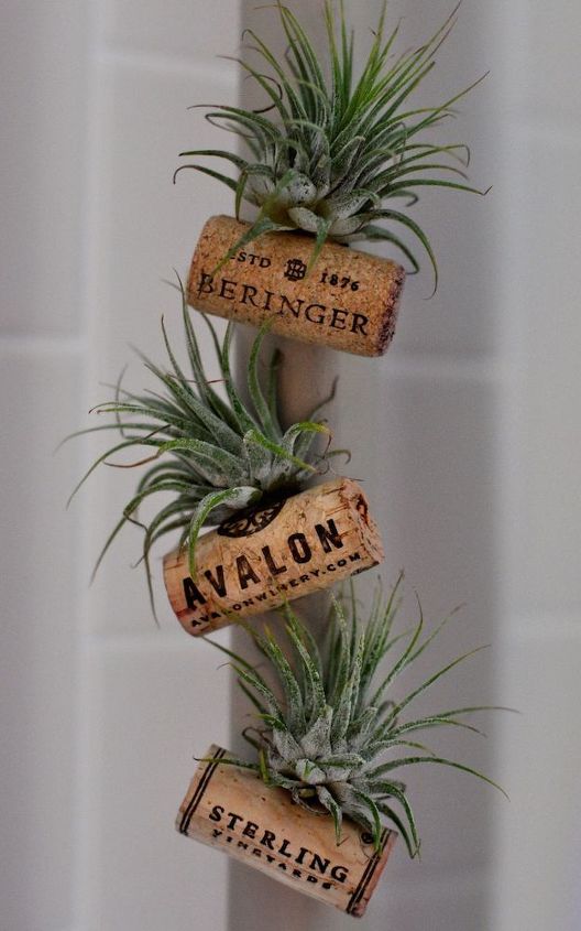 air plant wine bottle cork magnets, crafts, home decor, repurposing upcycling