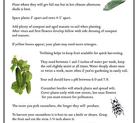 gardening tips cucumbers growing, gardening