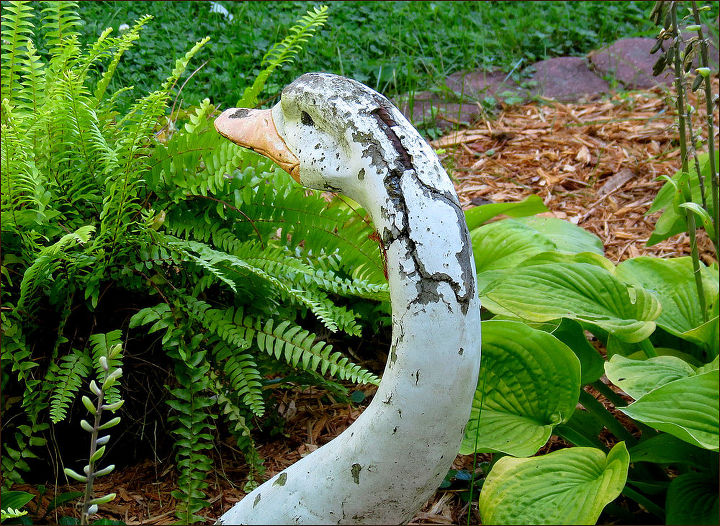 como posso reparar um cisne de jardim de cimento