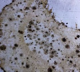 mold in crawlspace, cleaning tips, home maintenance repairs
