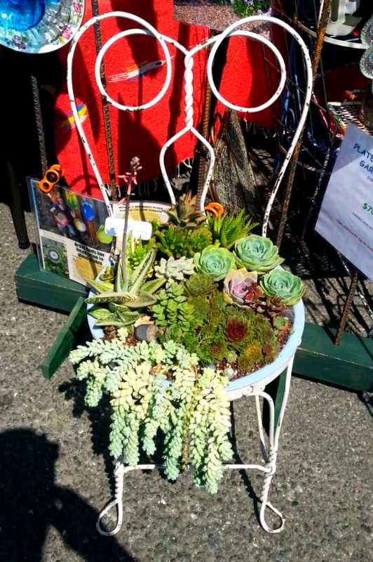 succulents chair planter, container gardening, flowers, gardening, repurposing upcycling