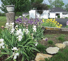q gardening tips lavender growing, gardening