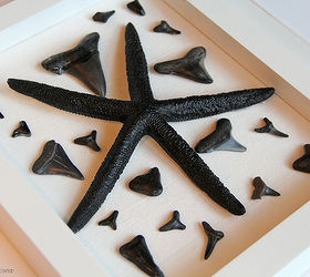 wall art shark teeth collage frame, crafts, home decor, repurposing upcycling