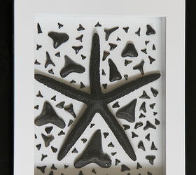 wall art shark teeth collage frame, crafts, home decor, repurposing upcycling
