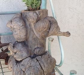 succulents driftwood planters, gardening, repurposing upcycling, This ones mind
