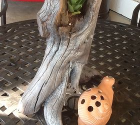 succulents driftwood planters, gardening, repurposing upcycling