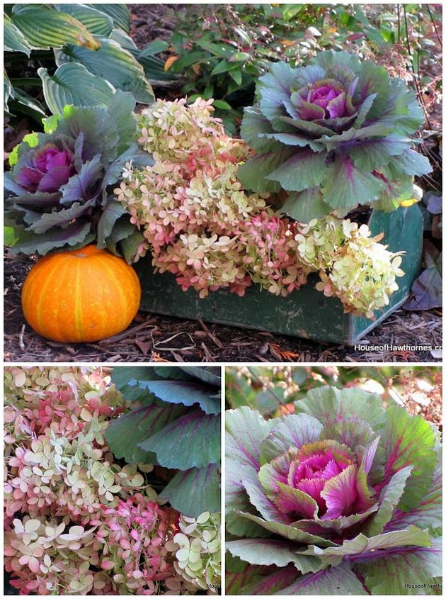 garden ideas centerpiece fall toolbox, container gardening, flowers, gardening, hydrangea, repurposing upcycling
