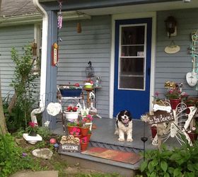 pretty perfect porch for pooches, container gardening, flowers, gardening, pets animals, porches
