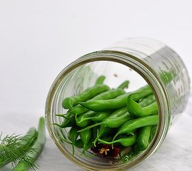 garden ideas preserving green beans dill, homesteading