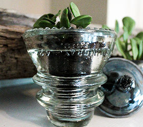 succulents planter antique glass insulator, gardening, succulents