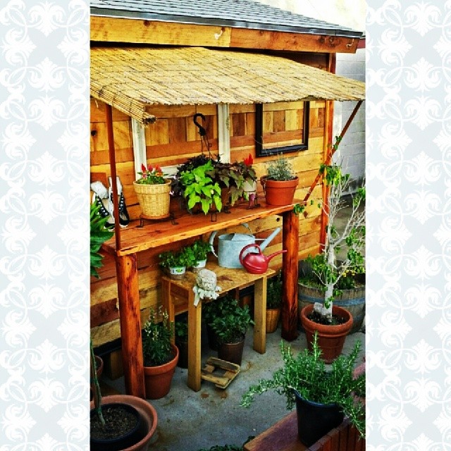diy shed container garden, container gardening, diy, gardening, outdoor living, woodworking projects
