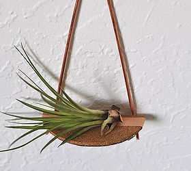 wall art copper pipe shelving air plant, crafts, wall decor