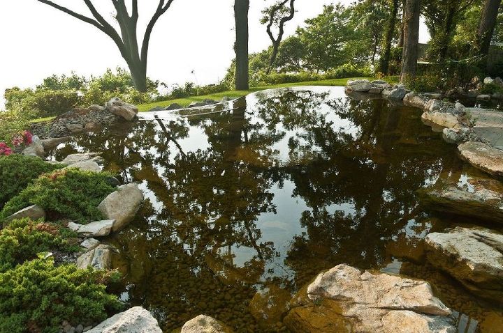 landscaping ponds man made reflections, landscape, outdoor living, ponds water features, Pond Stepping Stones
