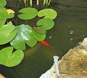 gardening concrete leaf pond art spitter, gardening, outdoor living, ponds water features
