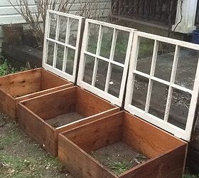 cold frames, repurposing upcycling, woodworking projects, Scrap wood and old windows put to good use