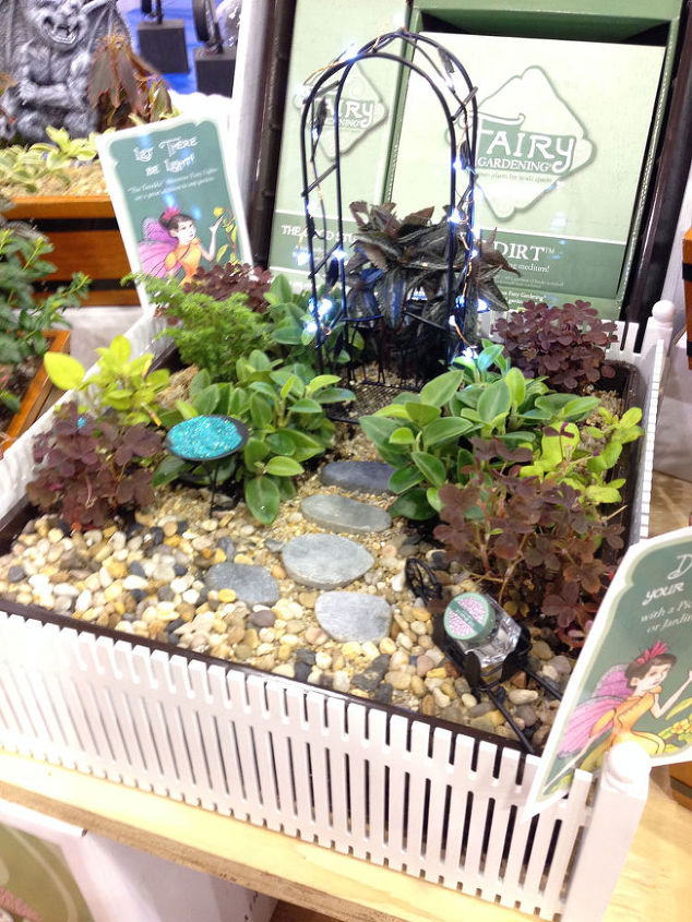 how to plant a fairy garden, container gardening, flowers, gardening, The Garden with a collection of small plants