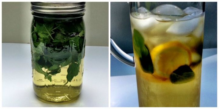 herbal infusions, gardening, homesteading