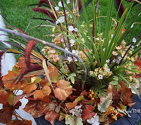 make a gorgeous fall outdoor floral arrangement using four easy steps, container gardening, flowers, gardening, seasonal holiday decor
