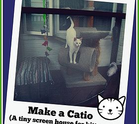 build a catio a tiny screen house for kitty cats, decks, diy, patio, pets animals, woodworking projects