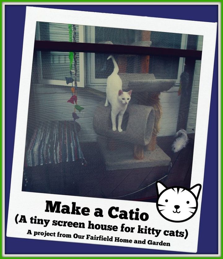 construa um catio uma pequena casa de tela para os gatos kitty