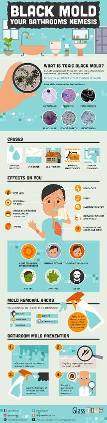 How To Get Rid Of Black Mold Hometalk