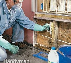 how black mold removal, cleaning tips, home maintenance repairs