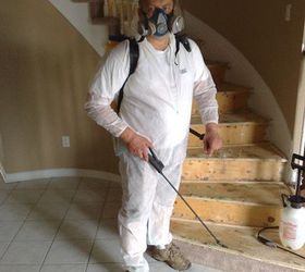 how black mold removal, cleaning tips, home maintenance repairs