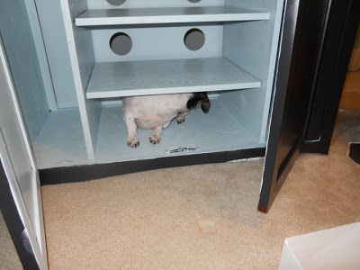 craft hutch tv cabinet repurpose redo, craft rooms, organizing, repurposing upcycling, Is that a dog in there