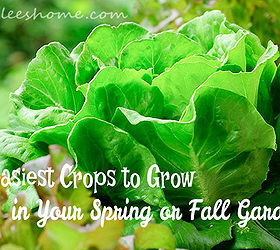 5 Easiest Cold-Weather Crops for Fall Garden | Hometalk