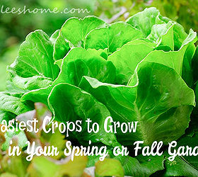 gardening crops cold weather fall spring, gardening, homesteading