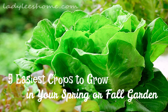 gardening crops cold weather fall spring, gardening, homesteading