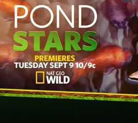 National Geographic Wild to Host a New TV  Show - Pond Stars!
