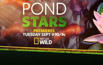 National Geographic Wild to Host a New TV  Show - Pond Stars!