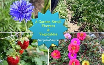 A Stroll in the Garden: 2014 Flowers & Vegetables