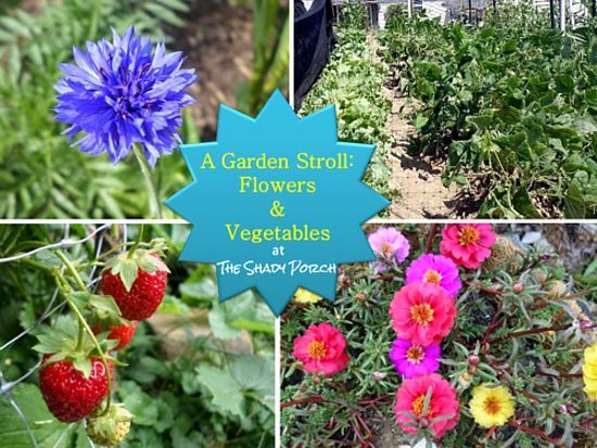 gardening flowers vegetables kentucky tour, flowers, gardening