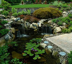 pond stars national geographic new show cast, gardening, landscape, outdoor living, ponds water features, Backyard Water Garden