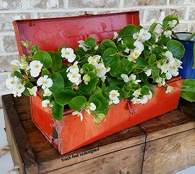 my finds for flowers using repurposed rustic reused reclaimed stuff, container gardening, gardening, repurposing upcycling, MY OLD RED TOOLBOX FLOWERS