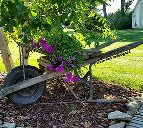 my finds for flowers using repurposed rustic reused reclaimed stuff, container gardening, gardening, repurposing upcycling, MY RUSTIC WHEELBARROW FLOWERS