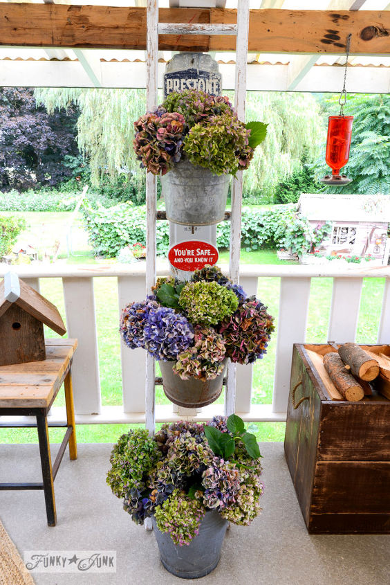 forever in bloom hydrangeas on a ladder go better with coffee, container gardening, flowers, gardening, hydrangea