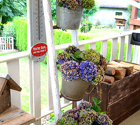 forever in bloom hydrangeas on a ladder go better with coffee, container gardening, flowers, gardening, hydrangea