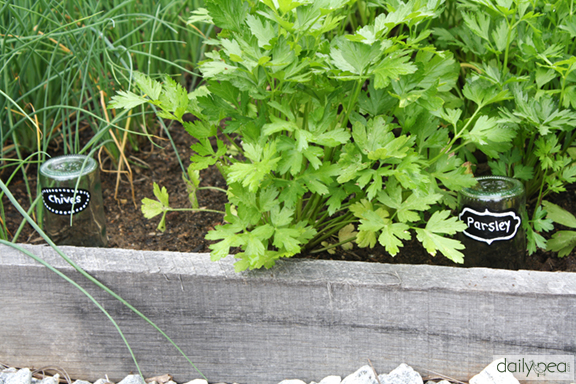 20 Creative Homemade Plant Marker Projects- There's no need to spend money on boring commercial garden markers if you have some basic DIY skills. Instead, check out these cute and clever DIY plant marker ideas! | how to label plants in your garden, ideas for making plant markers, label your herbs, garden markers, #gardening #DIY #garden #craft #ACultivatedNest