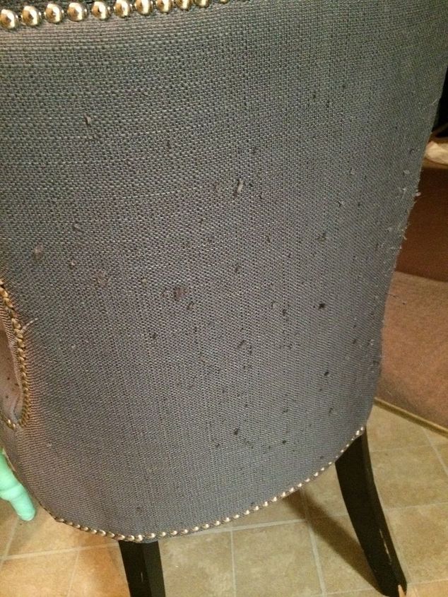 q how can i fix this cat scratch maybe, reupholster, Chair