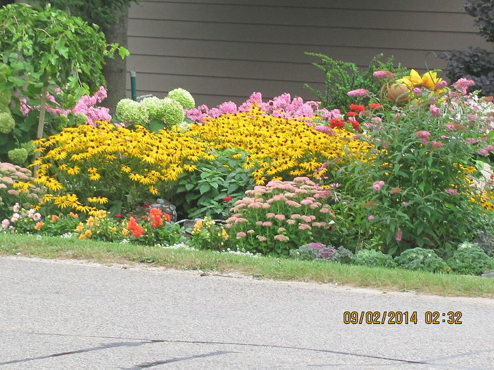 gardening flowers backyard full bloom summer canada, flowers, gardening