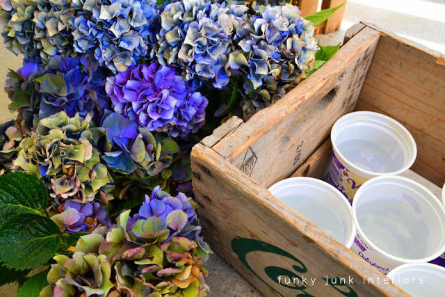 hydrangea grow prune dry decorate, flowers, gardening, home decor, hydrangea