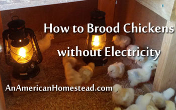How to Brood Chickens Without Electricity