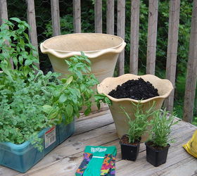 gardening tips herb container, container gardening, gardening