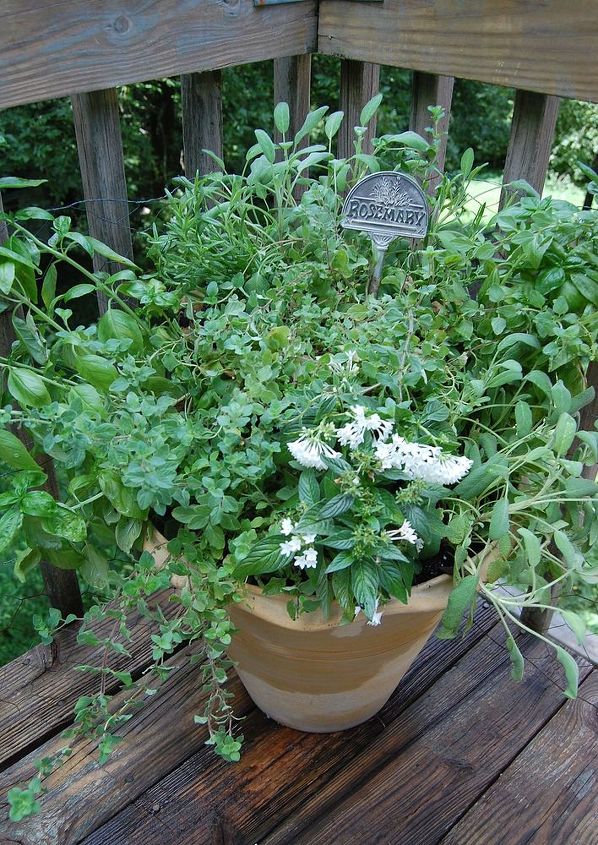 gardening tips herb container, container gardening, gardening