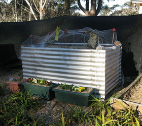 Corrugated Iron Raised Garden Bed - Update | Hometalk