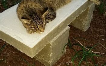 DIY Concrete Garden Bench for Less Than $30